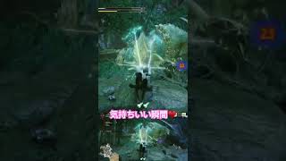 弓矢ハマるとおもしれぇ〜(( 'ω' 三 'ω' )) #モンハンライズ #モンハン #ゲーム実況 #ゲーム #サンブレイク #twitter #www #switch