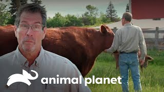 Thumbnail del capítulo