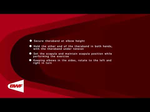 CE2M8V63 - Exercices avec élastiques - Rotation du tronc