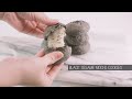 How To Make CRUNCHY CHEWY Black Sesame Mochi Cookies