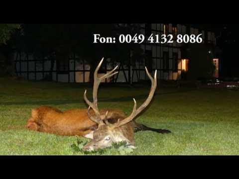 Zwei kapitale Rothirsche erlegt! Two royal stags shot!