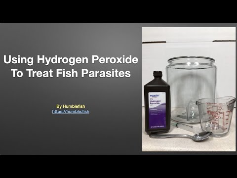 Hydrogen Peroxide To Treat Fish Parasites
