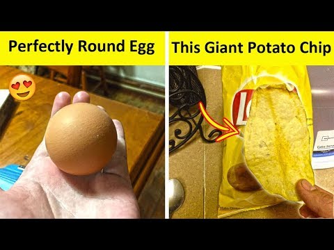 People Who Found The Most Odd Looking Food (NEW PICS!) Video
