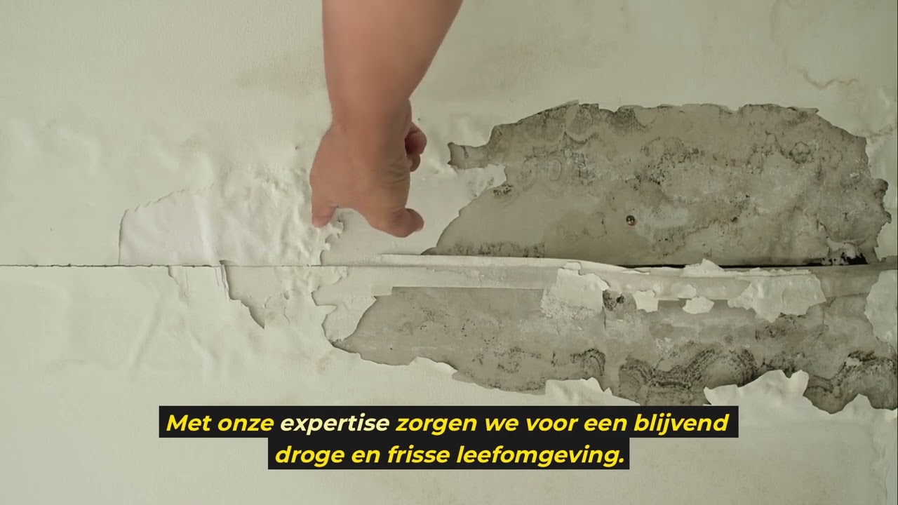 Vochtbestrijding Almere
