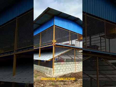 200 Goat Shed With Profit Trick! 🐐💰