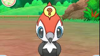 ツツケラ ポケットモンスター ハピナス ニューラ スリーパー ツツケラ ポケットモンスター ハピナス ニューラ スリーパー