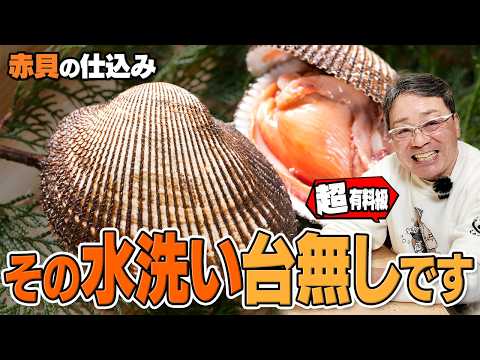 その赤貝の水洗い、台無しです｜香り・食感・ワタの扱いまで大将が解説