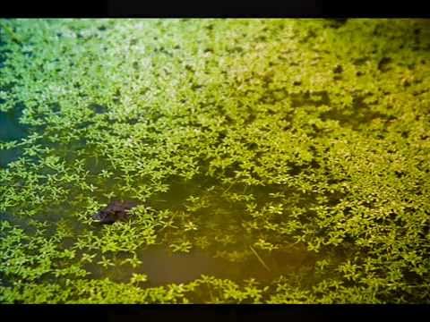 KERUCOV .ro: O duminica in Predeal: Trei Brazi - Poiana Secuilor