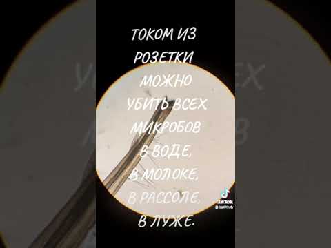 Микроскоп. Микробы. Бактерии. Убить током. Пастеризация молока. ТИК и ТОК. ТОК и ТИК.