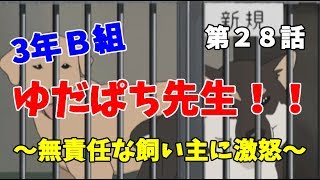 【3年B組】第２８話　柴犬買いたくなる【金八先生】