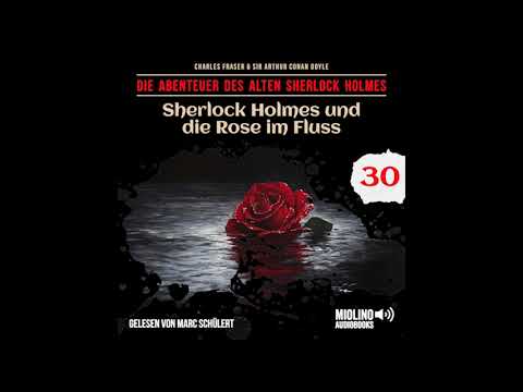 Der alte Sherlock Holmes and 5 more