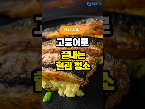 고등어