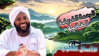 محمد سيد حاج - الرحمة الفريضة الغائبة - #أعمال_القلوب #محمد_سيد_حاج image
