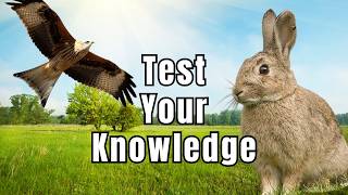 The Regular Wildlife Quiz - Can You Answer These Nature Questions Correctly?