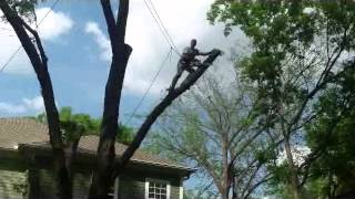 Downs Tree Service Nashville, Tn