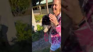 Poor Alvin – Honestly this is a CRIME!! Poor Alvin – Honestly this is a CRIME!!