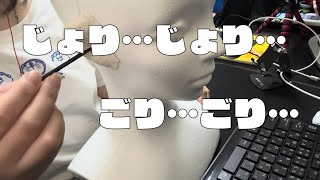【ASMR】【音フェチ】new自作ダミーヘッドで耳かき！ear cleaning 【No talking】