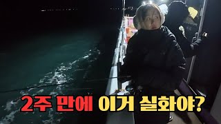 거제 바다 상황이 이상했어요😶🌫️ | 늬 정체가 뭐니? | 남해 첫 워킹 낚시🐟 | 지세포항 아지트피싱 🛥️