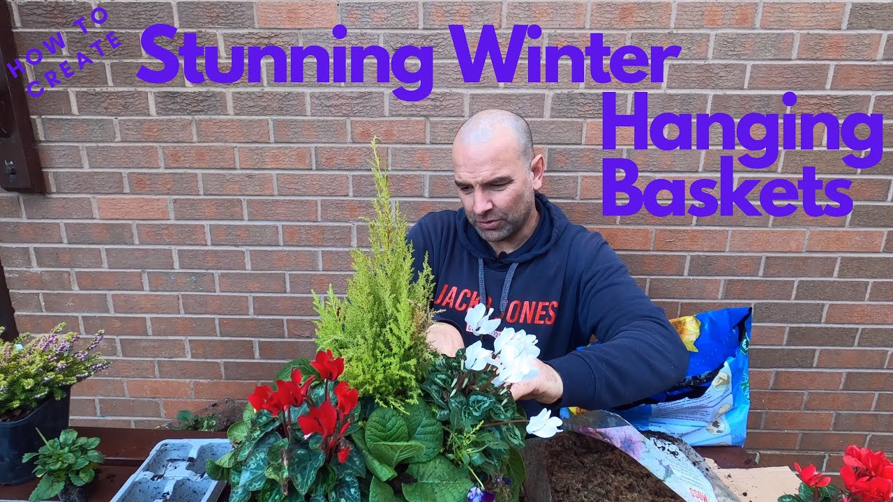 Watch video How to Create the Perfect Winter Hanging Basket Now How to Create the Perfect Winter Hanging Basket