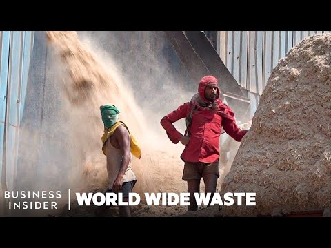 How Plates Made From Sugarcane Could Help India's Plastic Problem | World Wide Waste