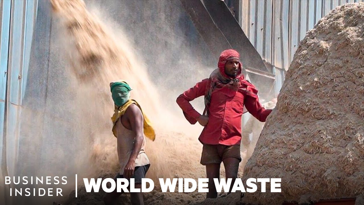 Watch video How Plates Made From Sugarcane Could Help India's Plastic Problem | World Wide Waste Now How Plates Made From Sugarcane Could Help India's Plastic Problem | World Wide Waste