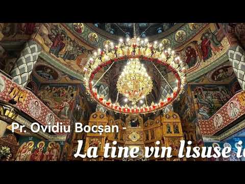 Pr. Ovidiu Bocșan - La tine vin Iisuse iar..