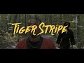 King Bliss Finn Tiger Stripe Official Video