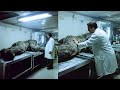 This Scientist Learned Bigfoot's Real Origin, What He Discovered Will Shock You - Sasquatch Story