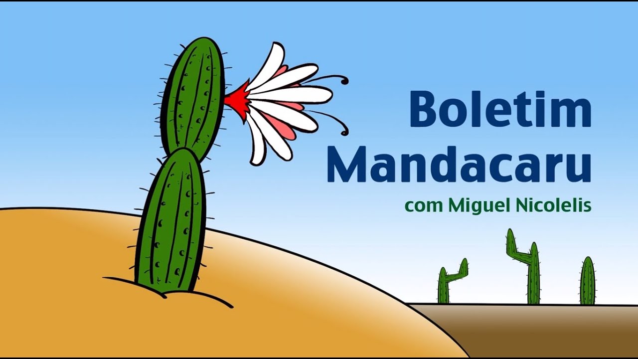 Em memória a Fábio Guimarães, o criador do app Monitora Covid19