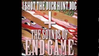I Shot The Duck Hunt Dog - BGM 13