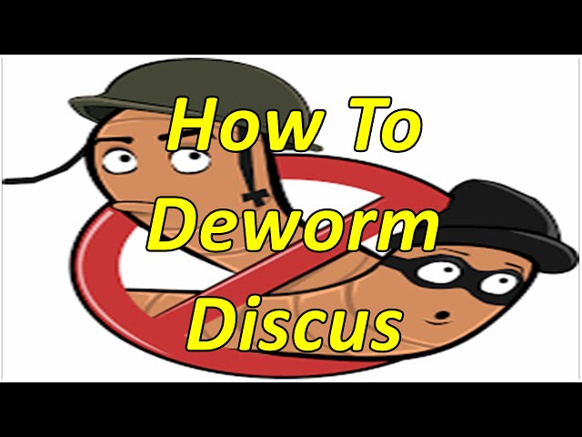 How to Deworm and remove parasites from Discus