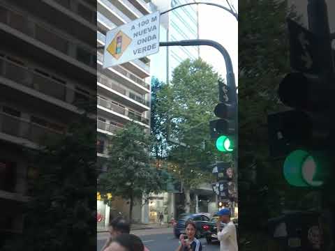 Calle Laprida Barrio Norte #argentina #buenosaires #walking #shorts #walk #walkthrough #shortvideo