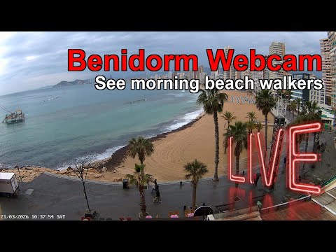 BENIDORM LIVE WEBCAM 🇪🇸 🔴 LIVE: Resort Beach at Night NOW! 🏖️🌊