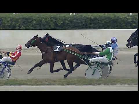 Napoli Trotto 12/02/2023 - 3ª corsa