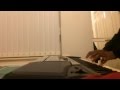 Remember Me - Chris Brown Ft Tyga Piano Cover ...