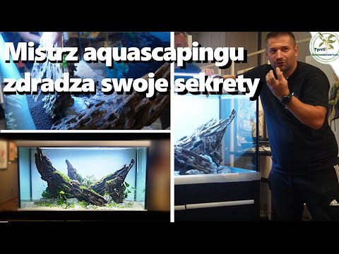 🧊🌿🐠Zakładanie akwarium. Pokaz Marcina Zająca. #akwarium #zakładanie #akwariumroślinne