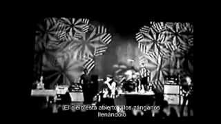 Chris Cornell - Steel Rain   subtitulada