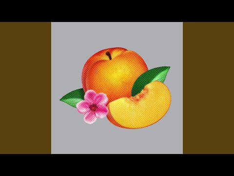 Videoclip de Bourgeois — Phoenix