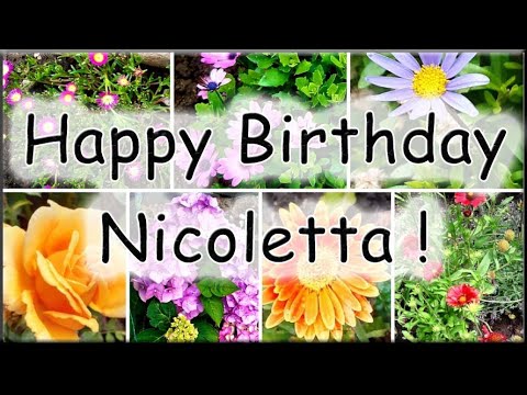 Happy Birthday Nicoletta! Alles Gute zum Geburtstag!