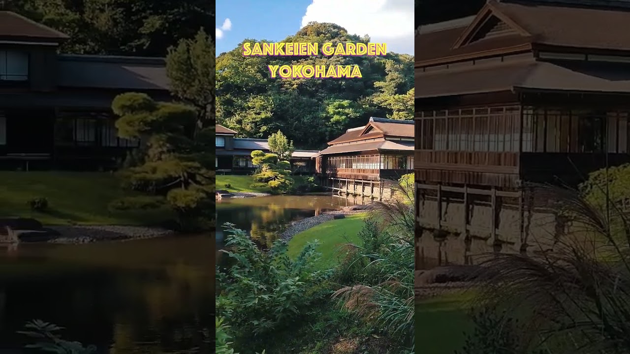 YouTube Short thumbnail