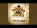 Imnandi (feat. Amanda, Mashankura, DJ Sushy)