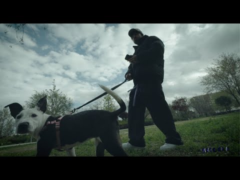 Gese da O - no gandhi (Official Video)