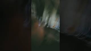 wth is going on [ the vid is is down here!! 🔽 ]