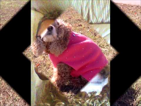 Isabella Angel Keziah (1999 - 2015)