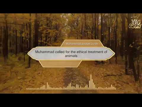 Muhammad called for the ethical treatment of animals