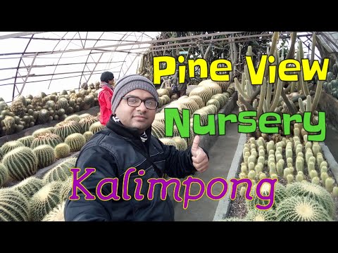 PINE VIEW NURSERY l CACTUS NURSERY l KALIMPONG l North Bengal Tourism