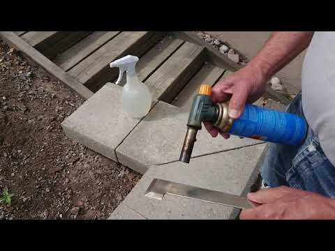 Minimera spridning av yngelröta.