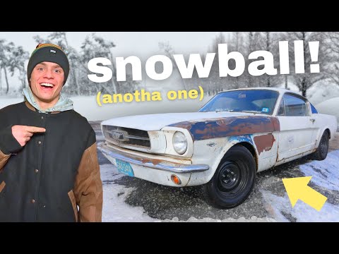 REVIVING a 4-Speed Mustang During a Snowstorm!