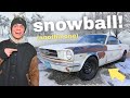 REVIVING A 4 Speed Mustang During A Snowstorm