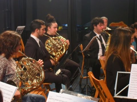 Os passaros do Brasil (Kees Vlak)